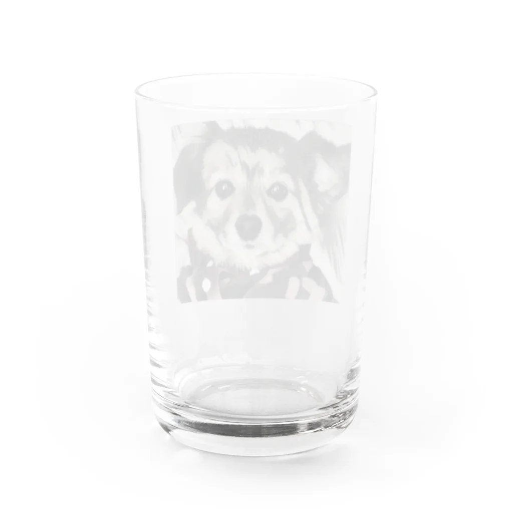 ももももものこうすけくん Water Glass :back