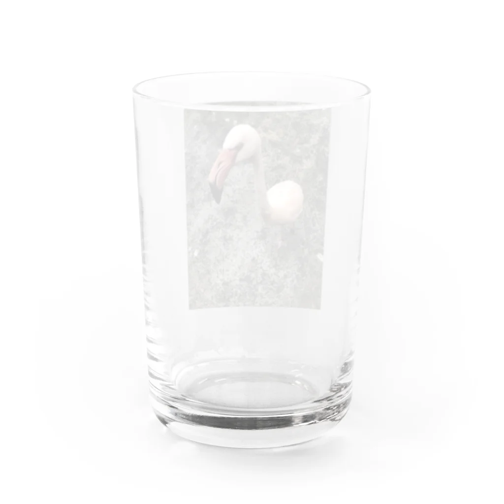 noji_yaaのフラミンゴ Water Glass :back