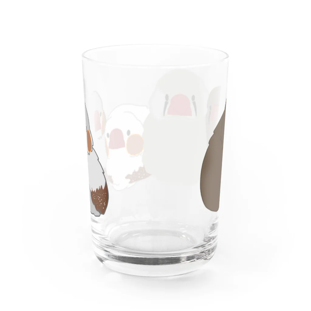 yuiji’ｓ shopのmofumofu　キンカ Water Glass :back