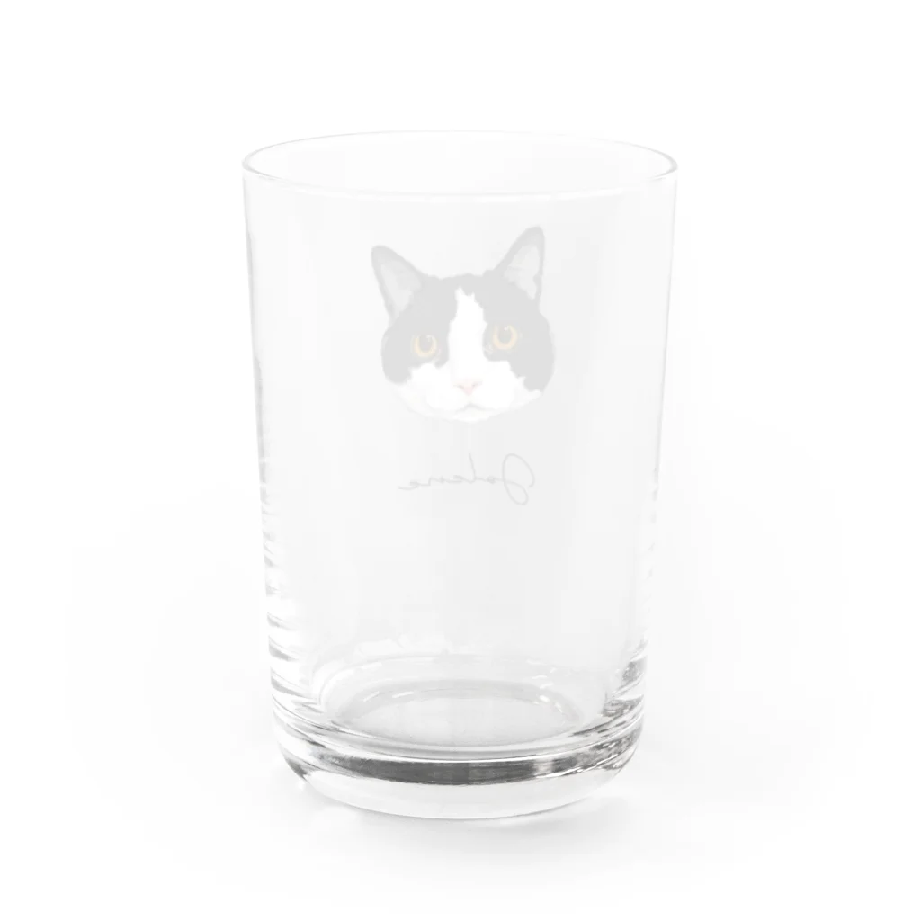 みきぞーん｜保護猫 ミッキー画伯と肉球とおともだちのjolene Water Glass :back