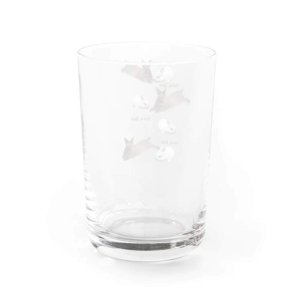 そらくーのそらくー。 Water Glass :back