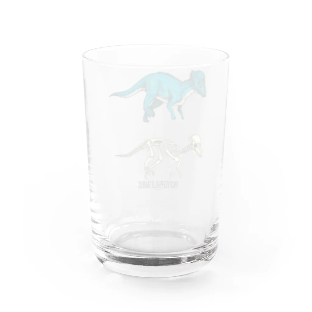 オガワユミエのパキケファロサウルス Water Glass :back