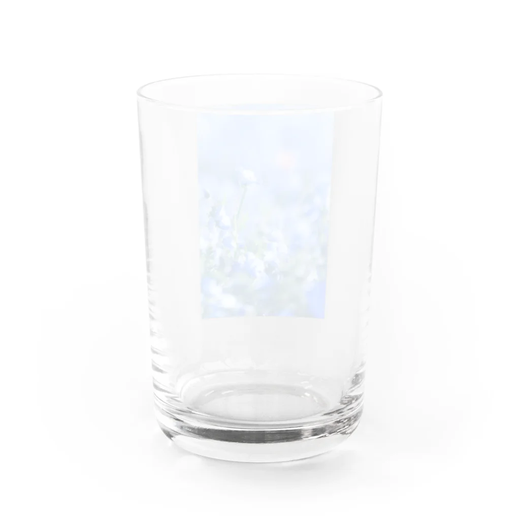 はやしの光を浴びる Water Glass :back