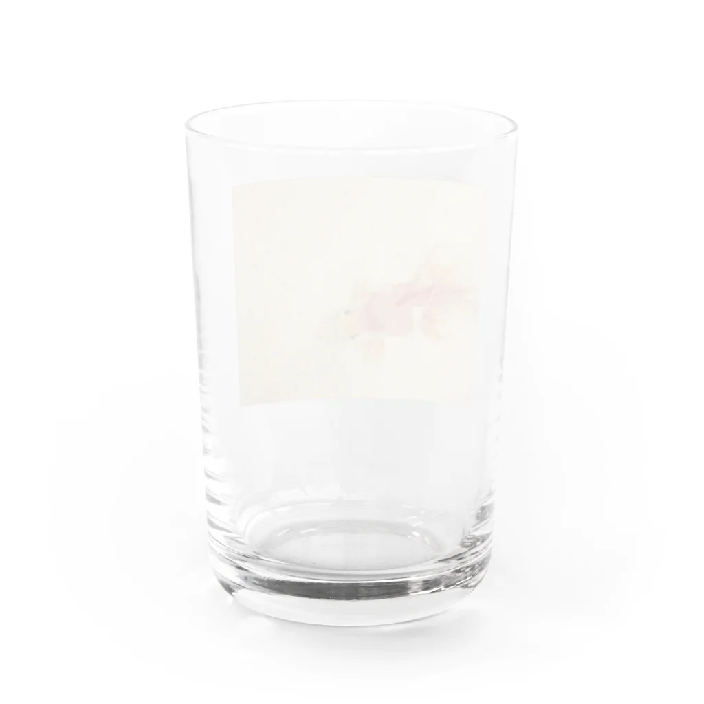 Kawausoの金魚 Water Glass :back