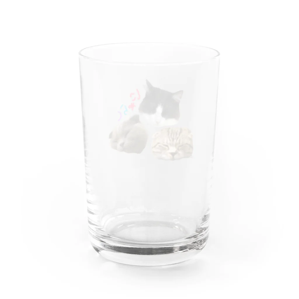 NYARASHI公式ショップ”NYARA4”のおねんねにゃらしくん Water Glass :back