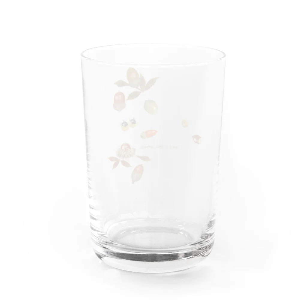 nachau7のどんぐりコロコロ木の実1 Water Glass :back