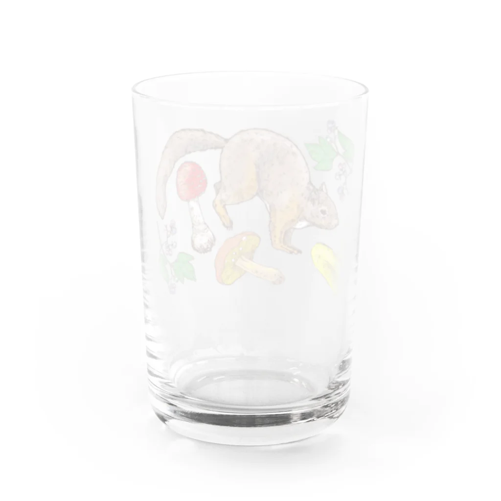 nemunoki paper itemの実りの森深く Water Glass :back