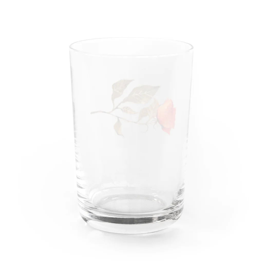 Fujioka_shopの赤いバラ Water Glass :back