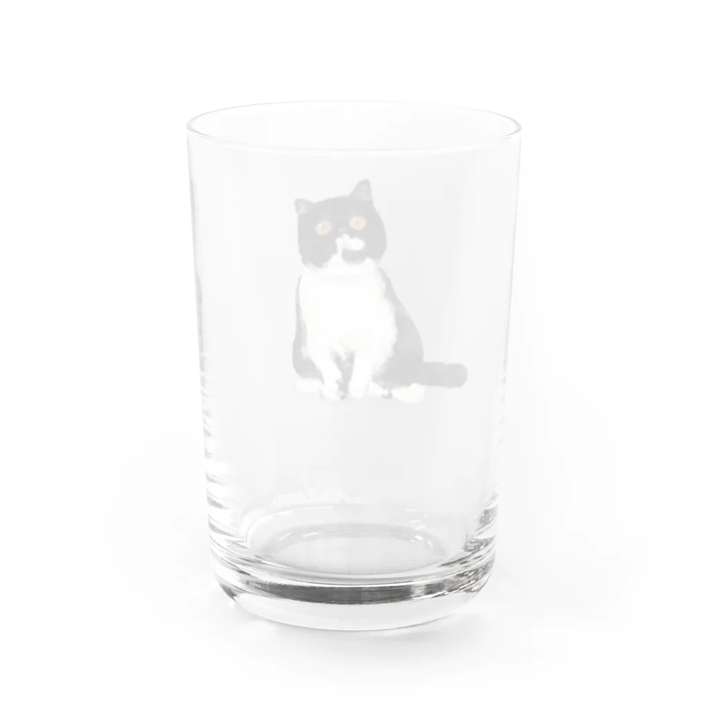 マルティ部屋のエキゾのモリオンくん Water Glass :back