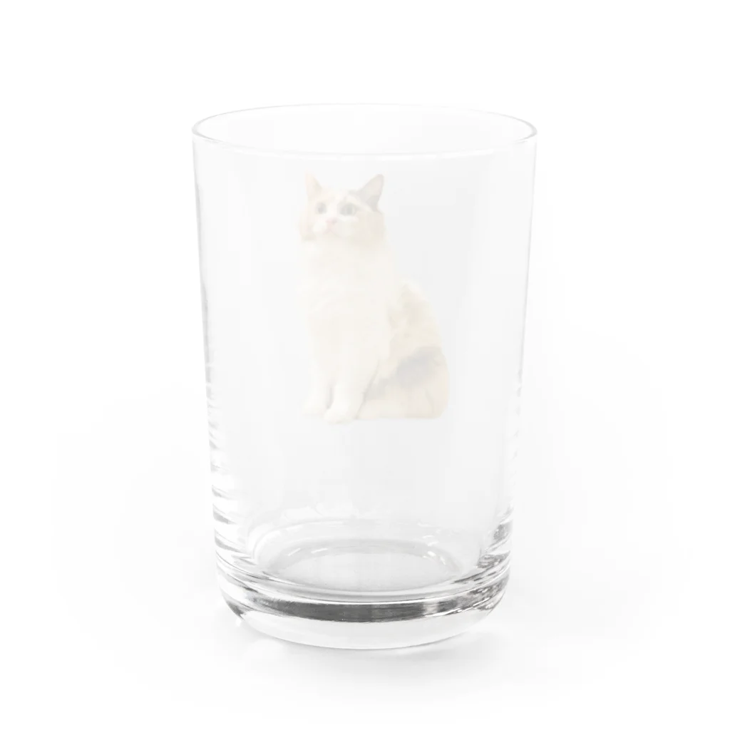 ファンシーショップ★メルちゃんのお座りメルちゃん Water Glass :back