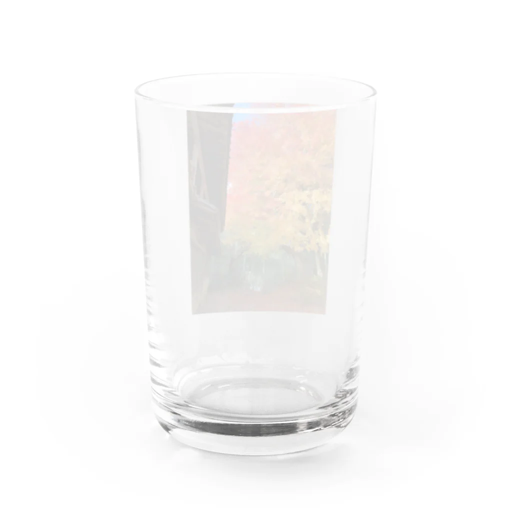 たかちゃんの紅葉きれい♡ Water Glass :back