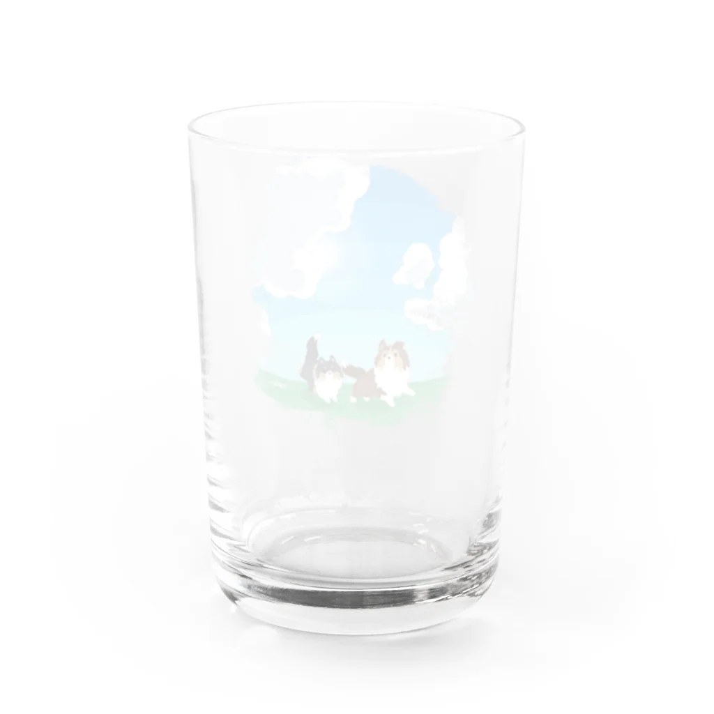 Kotetsu diary(SUZURI店)のシェルティ2匹×青空の下の草原 Water Glass :back