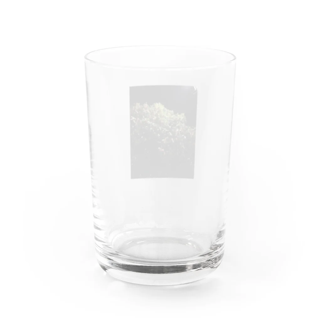 いつもの夜の金木犀 Water Glass :back
