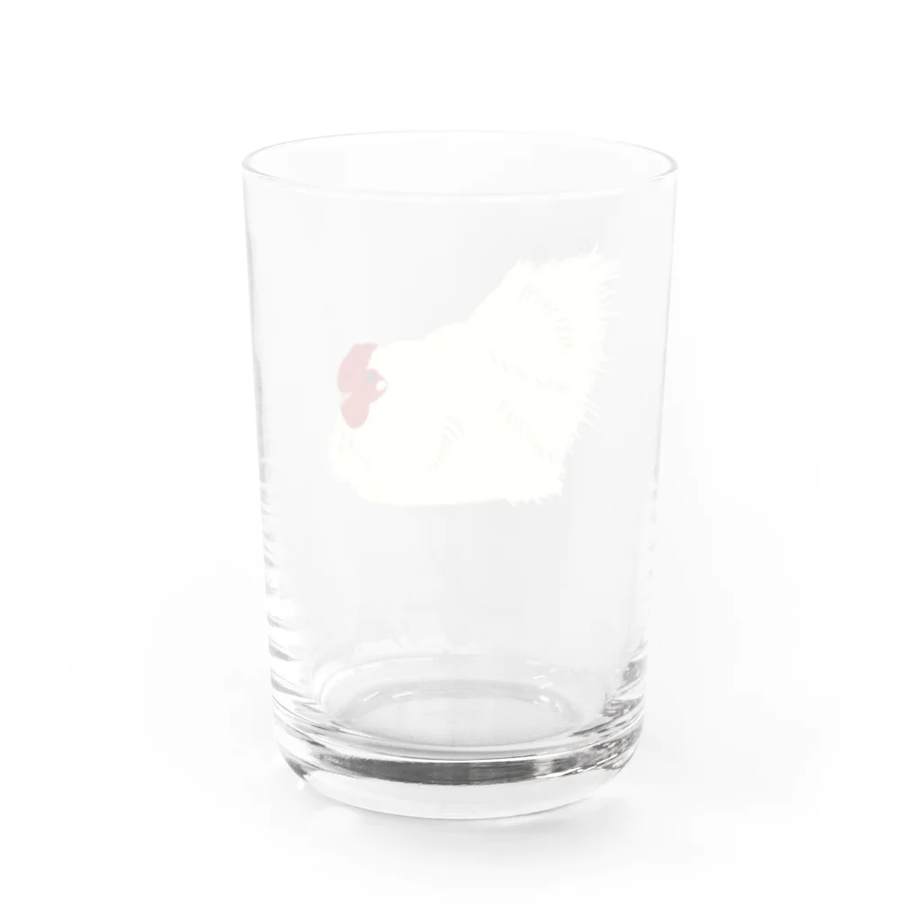 たむこ屋のにわとりのこーちゃん Water Glass :back