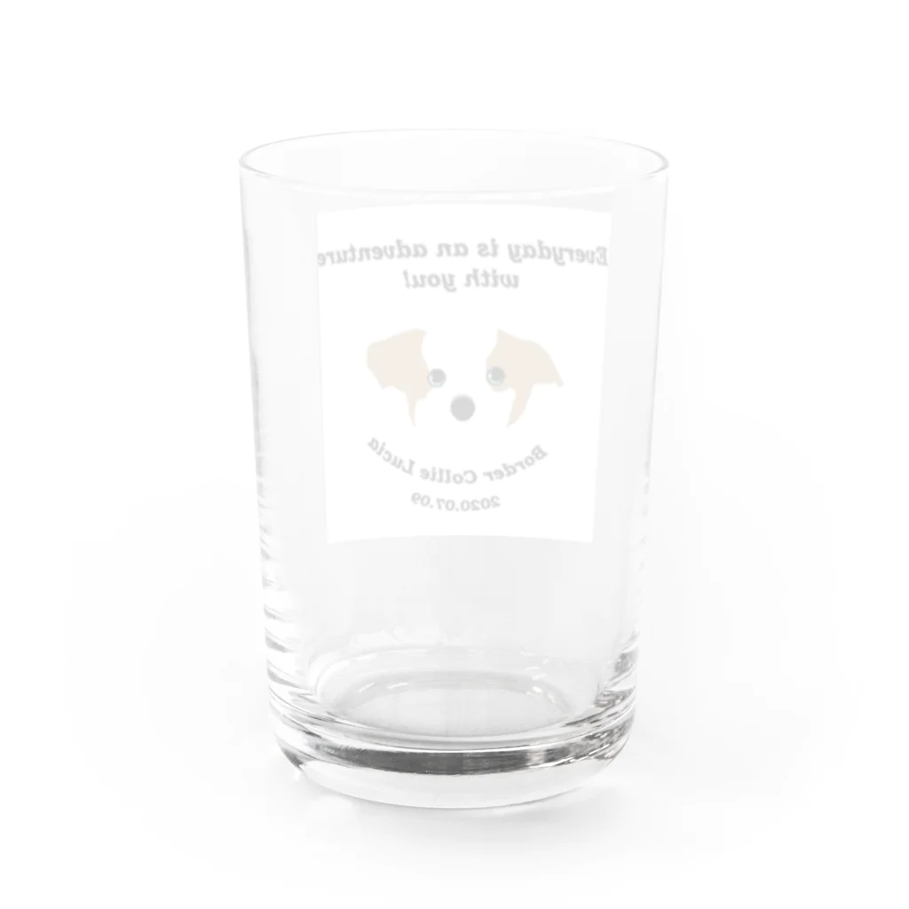 Bordercollie StreetのHappy LUCIA Water Glass :back