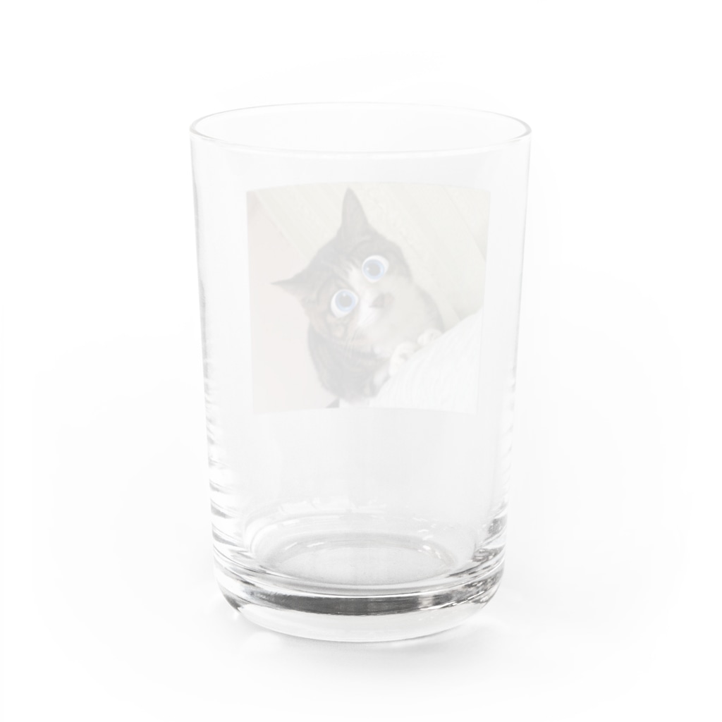 オレンジのみかん Water Glass :back