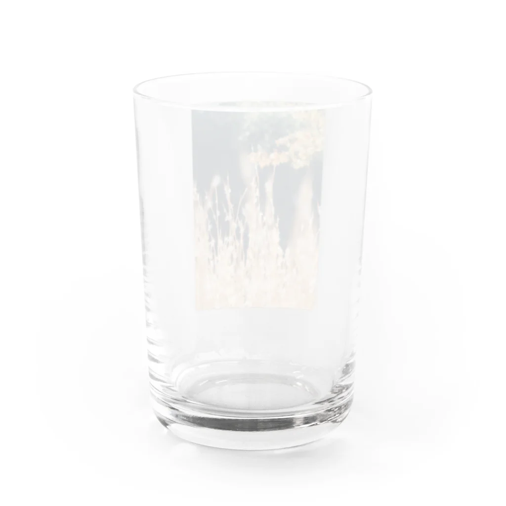 はやしの秋 Water Glass :back