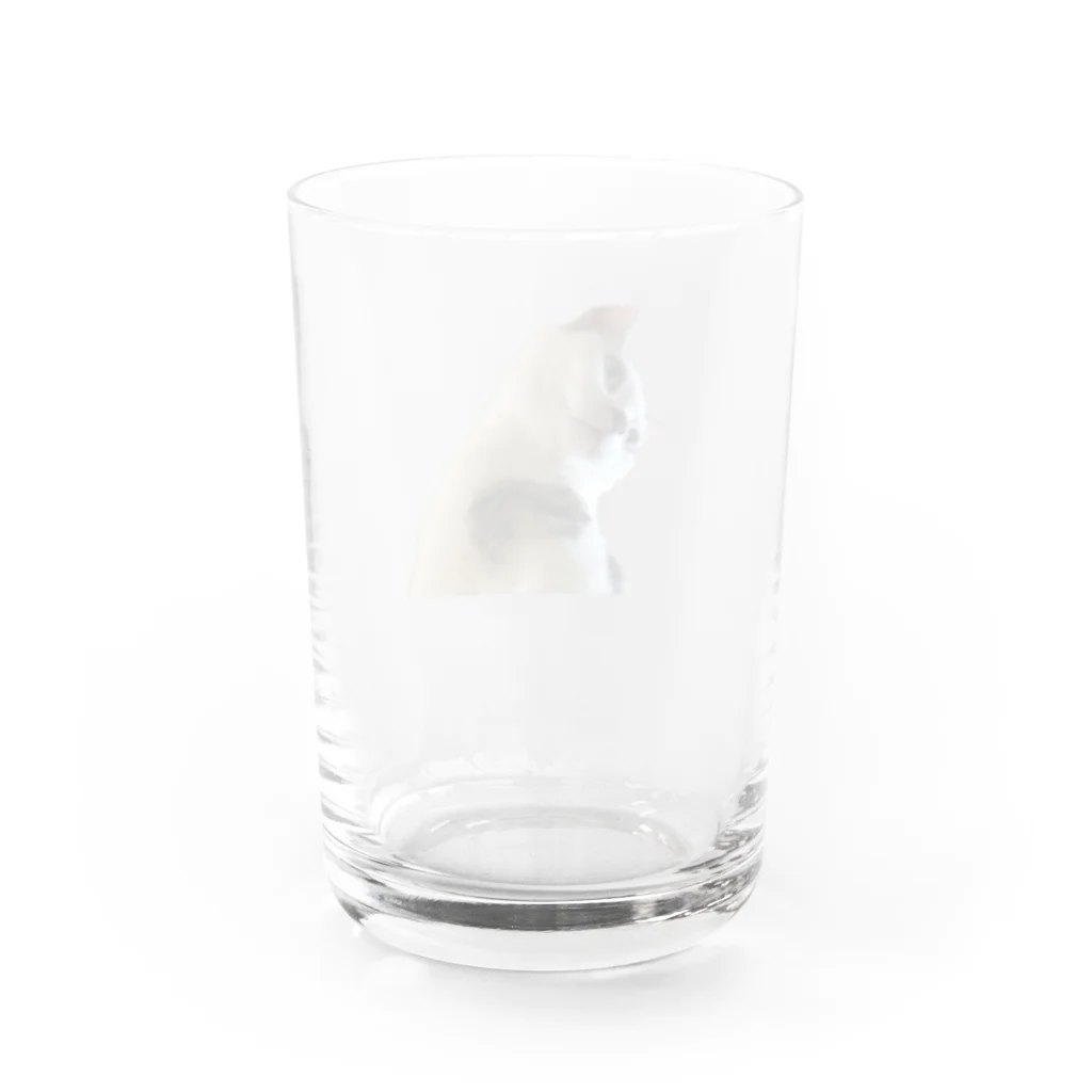 ポップならくがきのうちのねこちゃん Water Glass :back