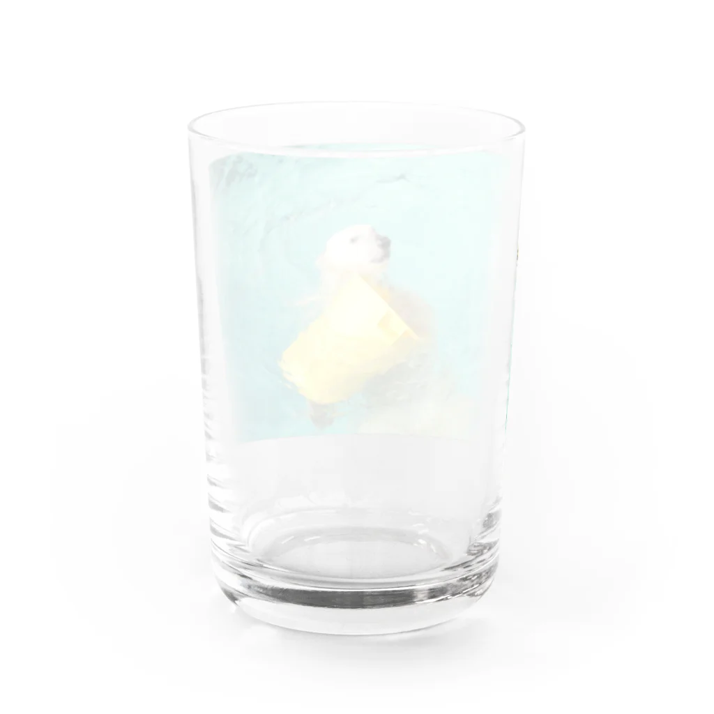 かかのバケツと戯れるシロクマ Water Glass :back