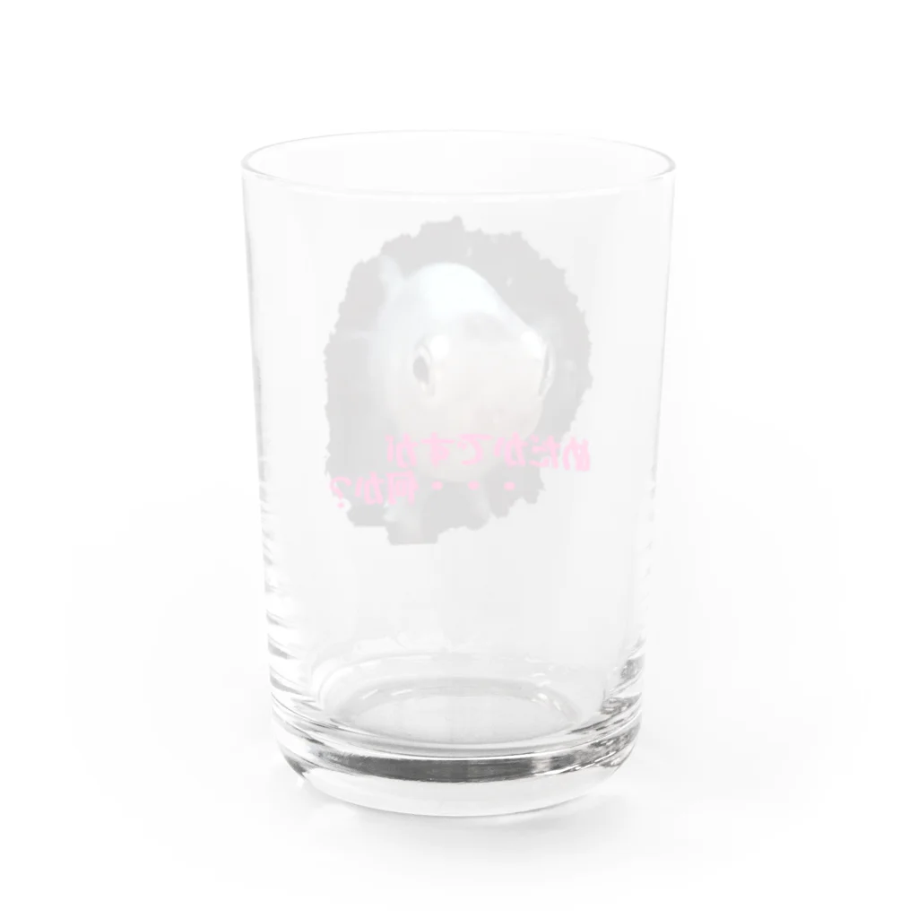 湯けむりshopのめだかですが・・・何か？ Water Glass :back