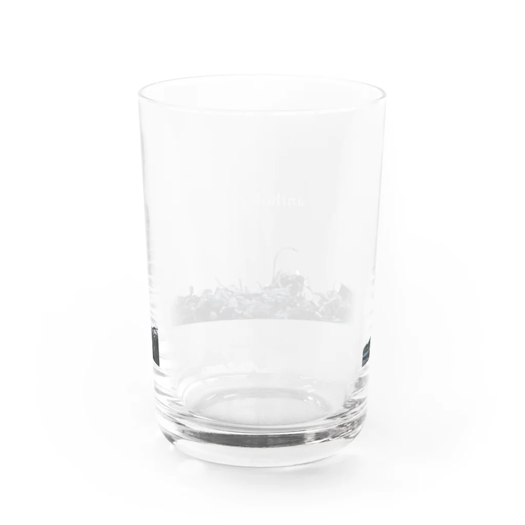 chillの【New】anthology / glass Water Glass :back