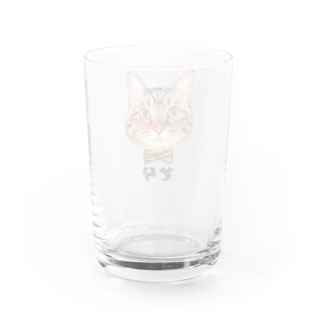 CAT CROWNのまんまる寅次郎 Water Glass :back