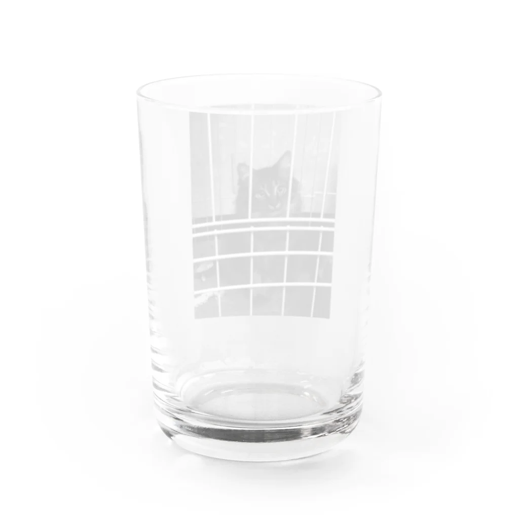 neko_00_nekoのマダラくん Water Glass :back