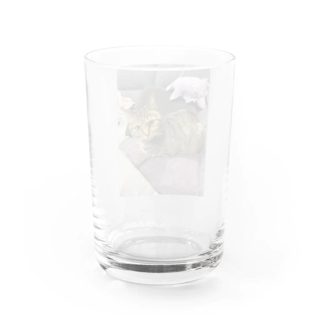 磯野dopeカツオのわかめ Water Glass :back