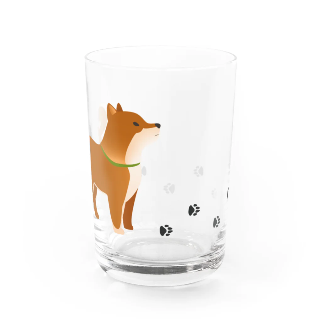 ちゃちゃまるふどーさんのてくてく柴くん Water Glass :back