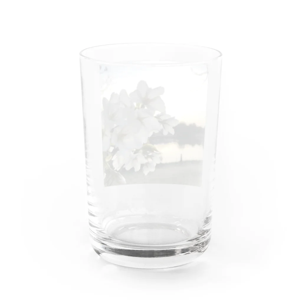 №820の№820 Water Glass :back