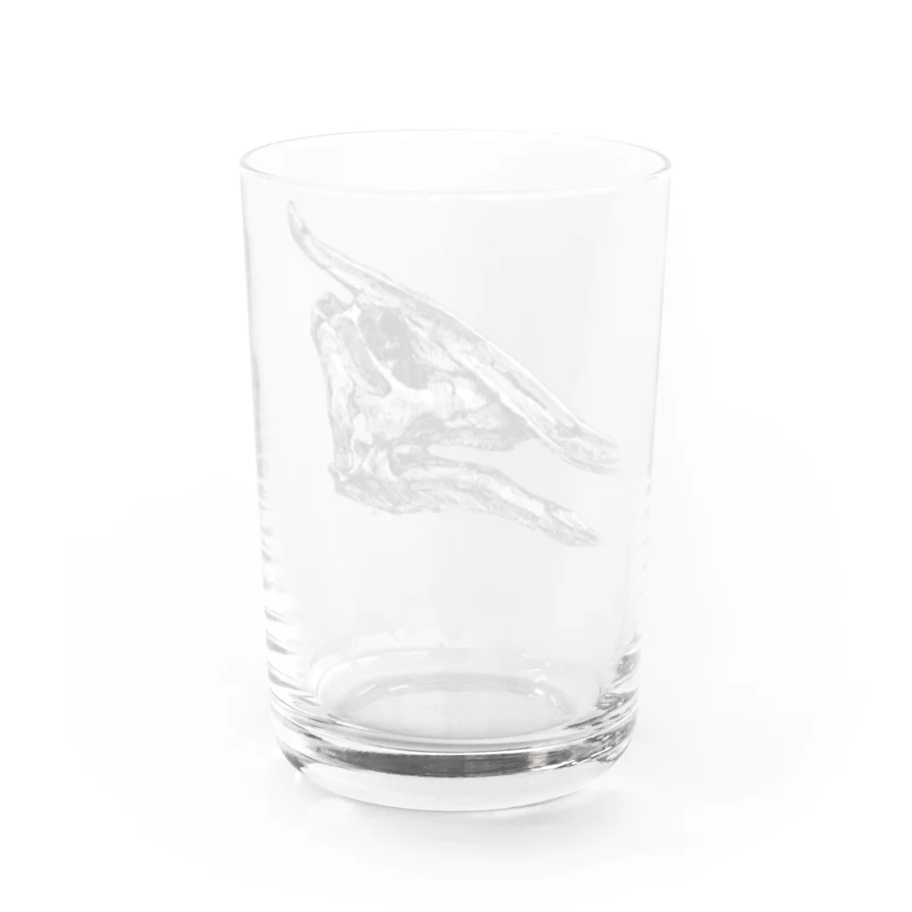 segasworksのサウロロフスの頭の骨 Water Glass :back