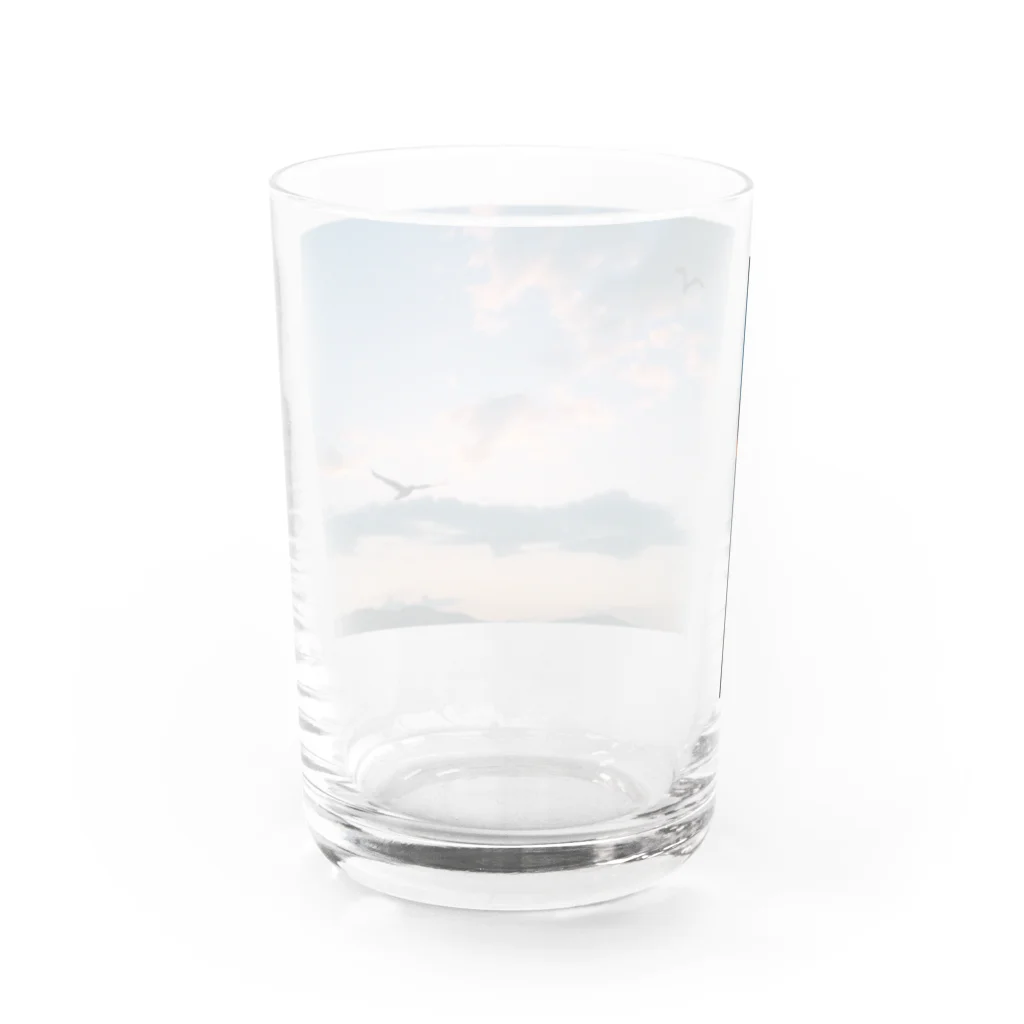 sheep-sの夕焼けと鳥 Water Glass :back