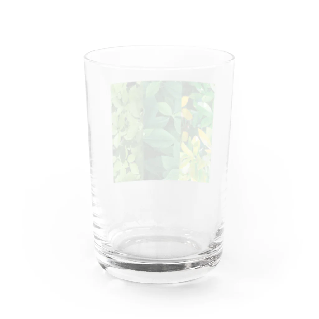 採色図鑑の#leaf_002 Water Glass :back