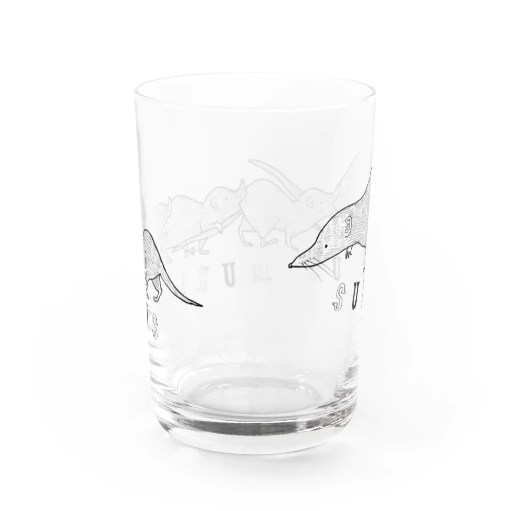 どんすけのSuncus murinus Water Glass :back