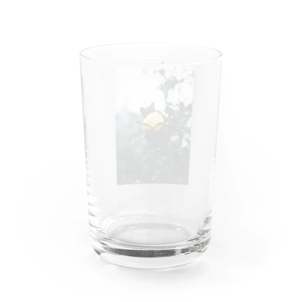 monの檸檬ちゃん Water Glass :back