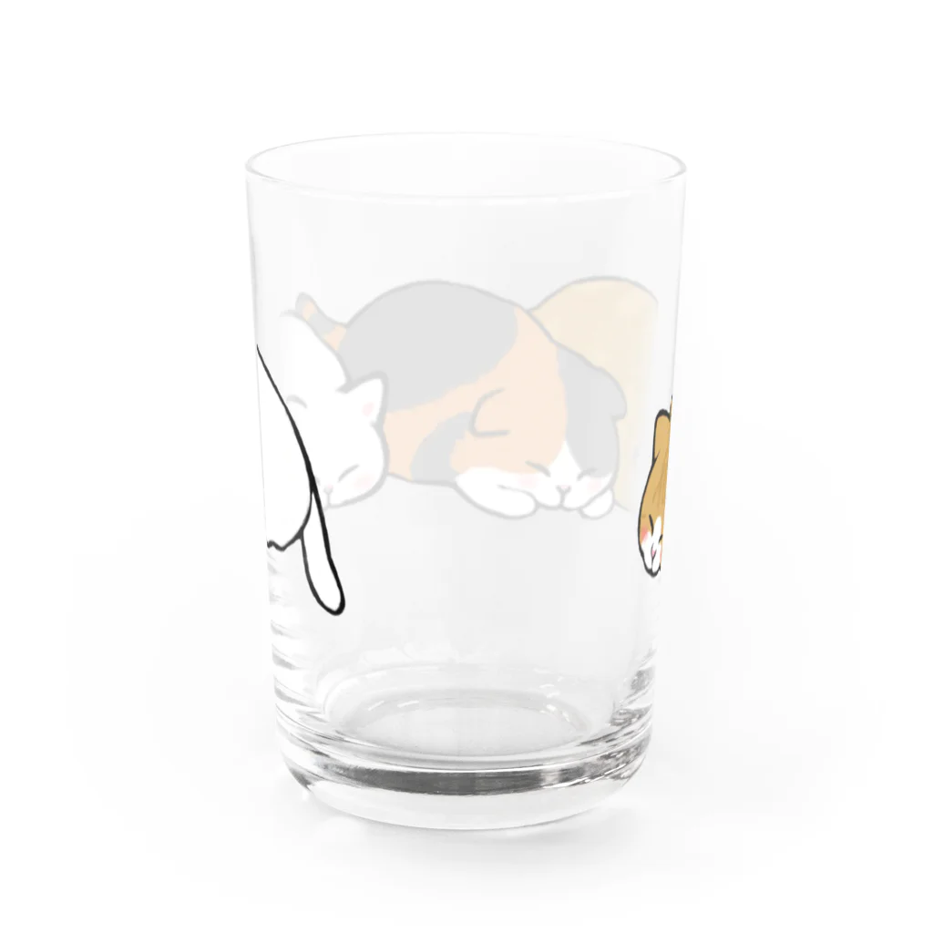 ふわにゃんshopのツチノコ☆キャッツ Water Glass :back