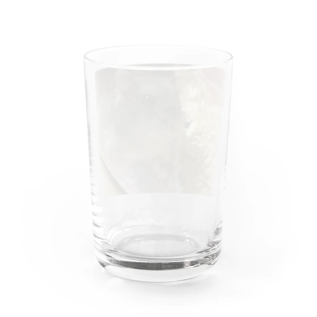 翡翠葛のわらび Water Glass :back