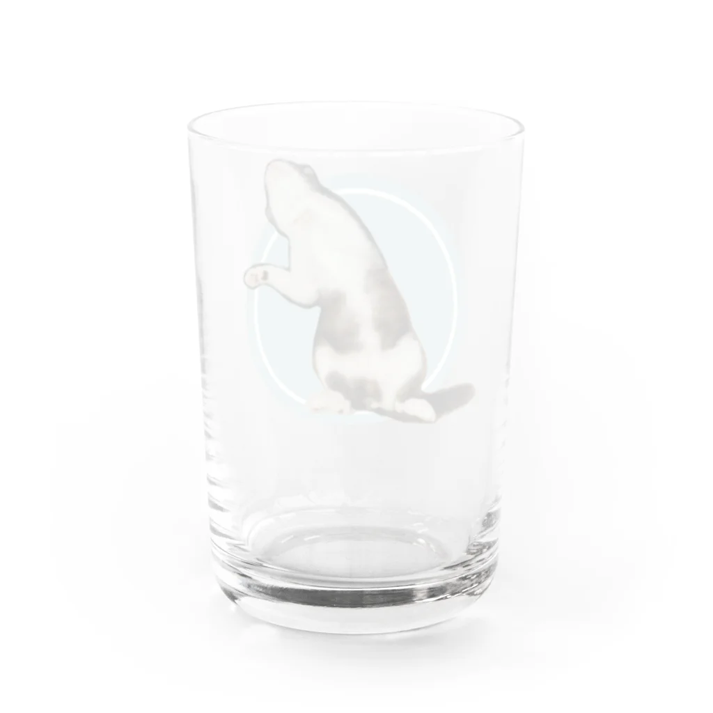 ステッカー屋のがもちゃ Water Glass :back