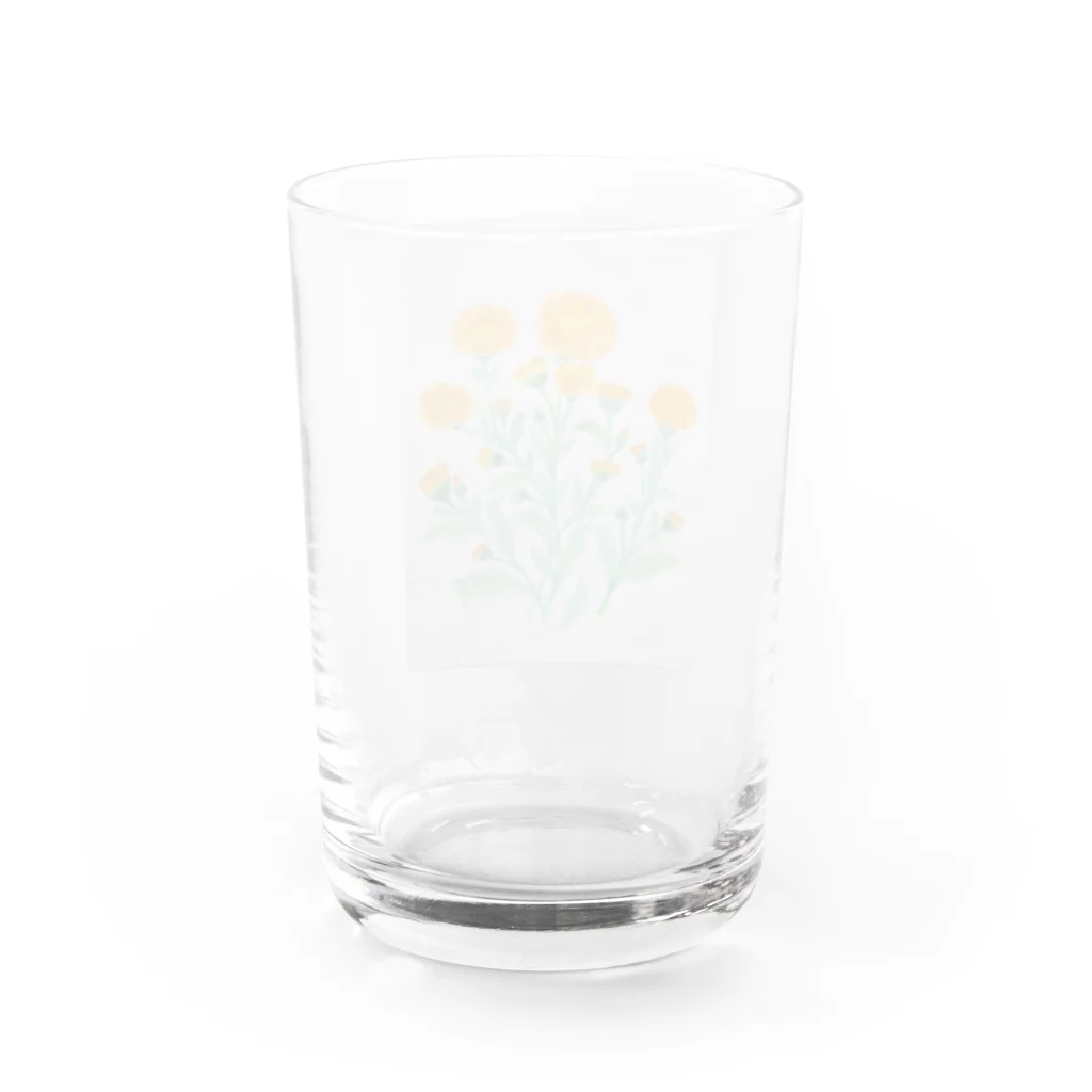 いかすみ商店のキンセンカ Water Glass :back