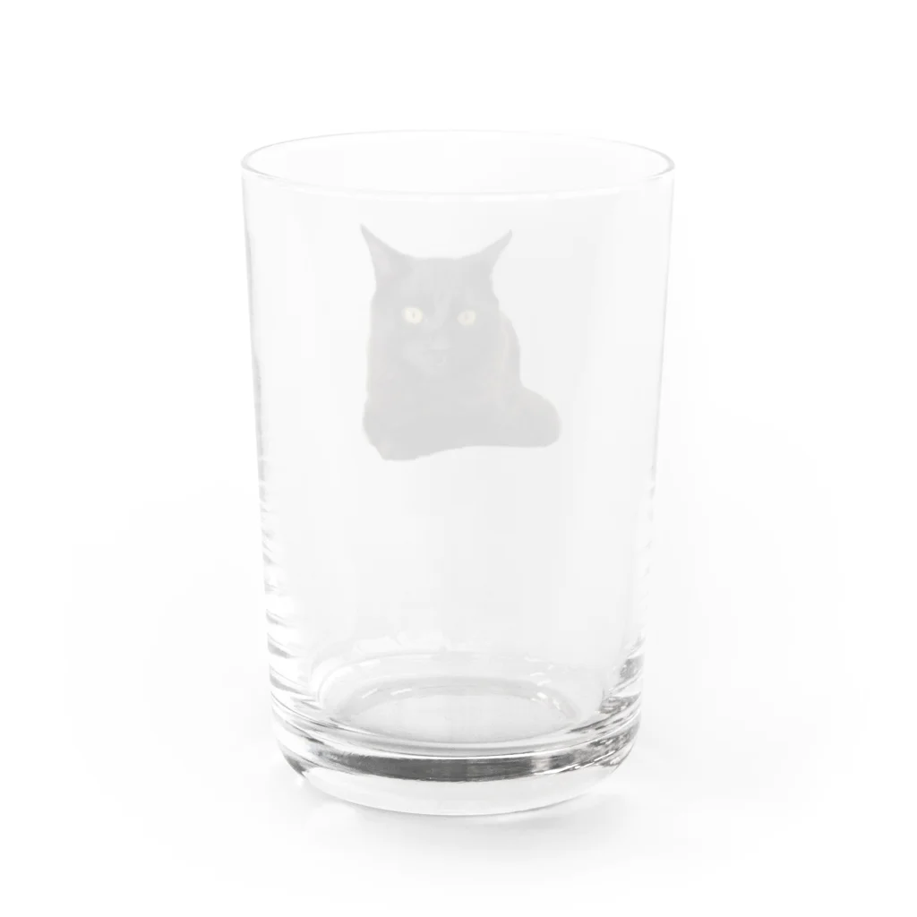 chill_laundryのクゥちゃん 宣材写真風 Water Glass :back