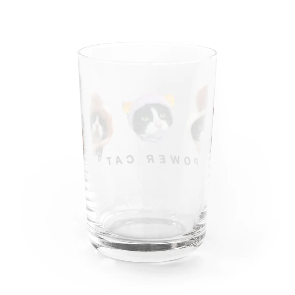 パワーSHOPのハチワレ猫のパワー Water Glass :back