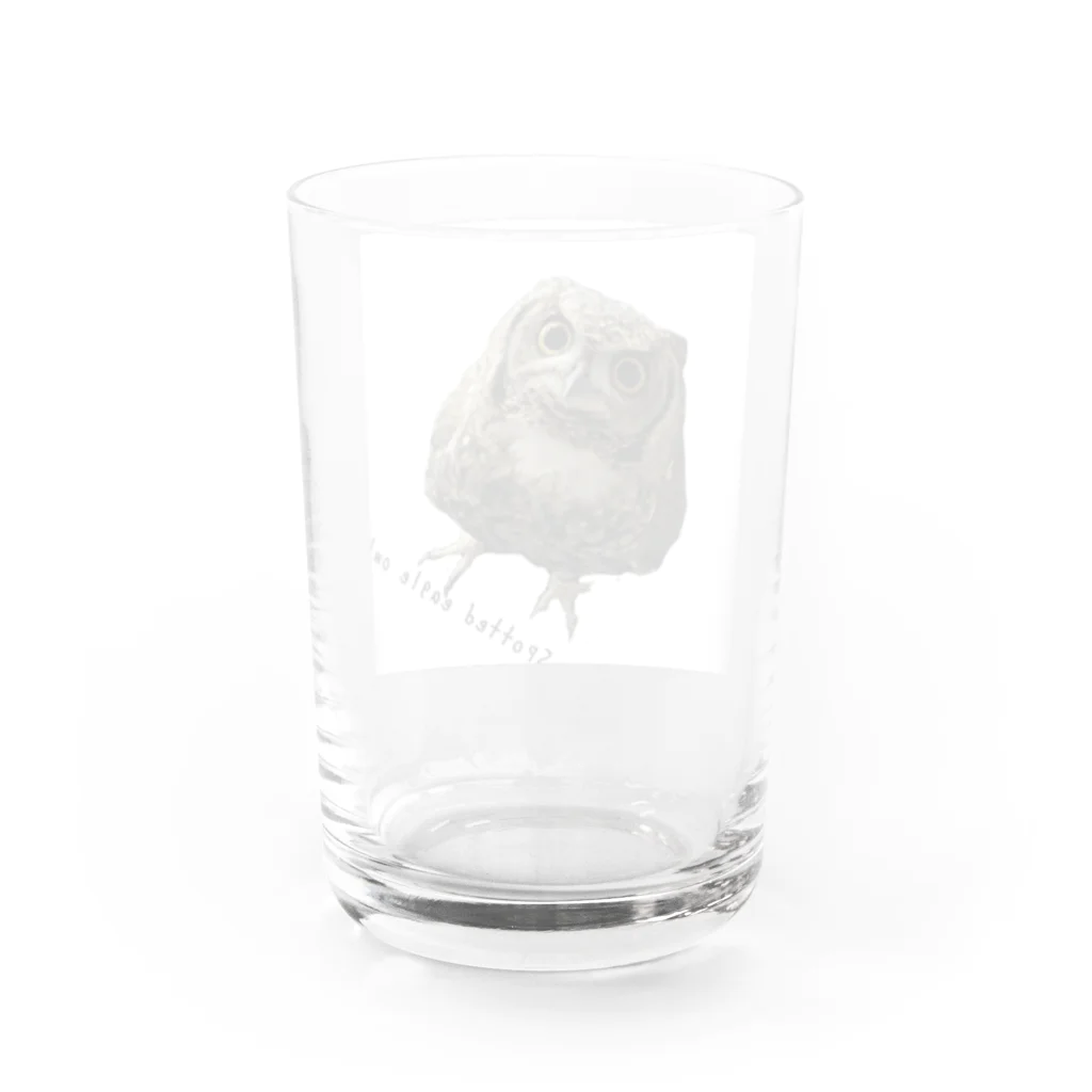 いおりとチャンネル🦉のいお・りとチャンネル🦉ふくろう柄 Water Glass :back