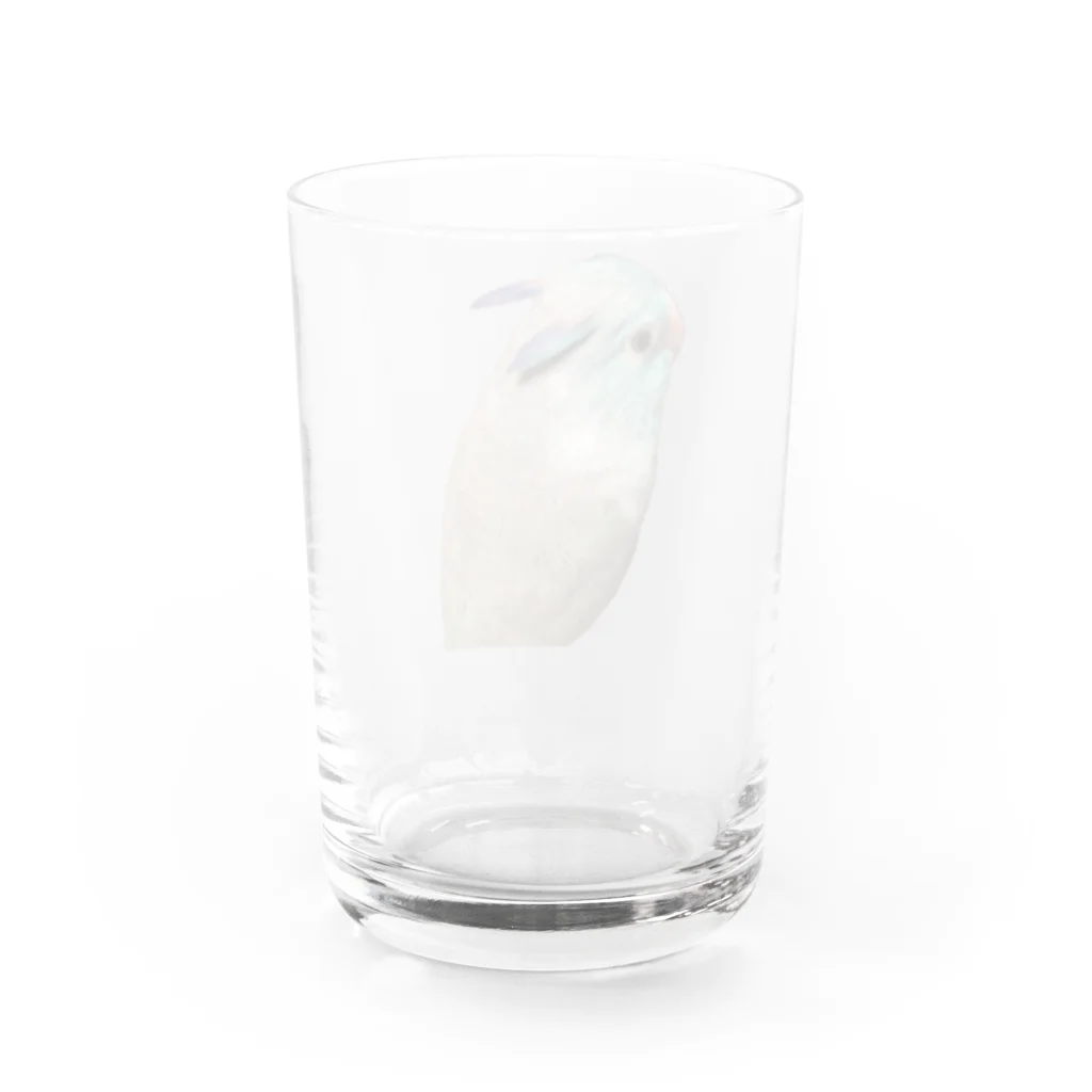 マメルリハグッズショップのマメルリハのゆき Water Glass :back