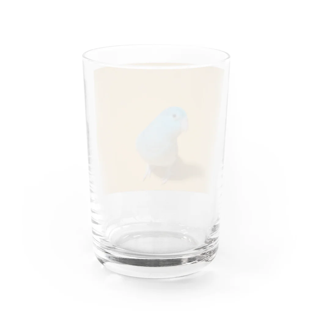 マメルリハグッズショップのマメルリハのゆき Water Glass :back