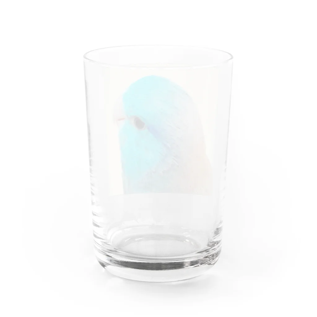 マメルリハグッズショップのマメルリハのまめた Water Glass :back