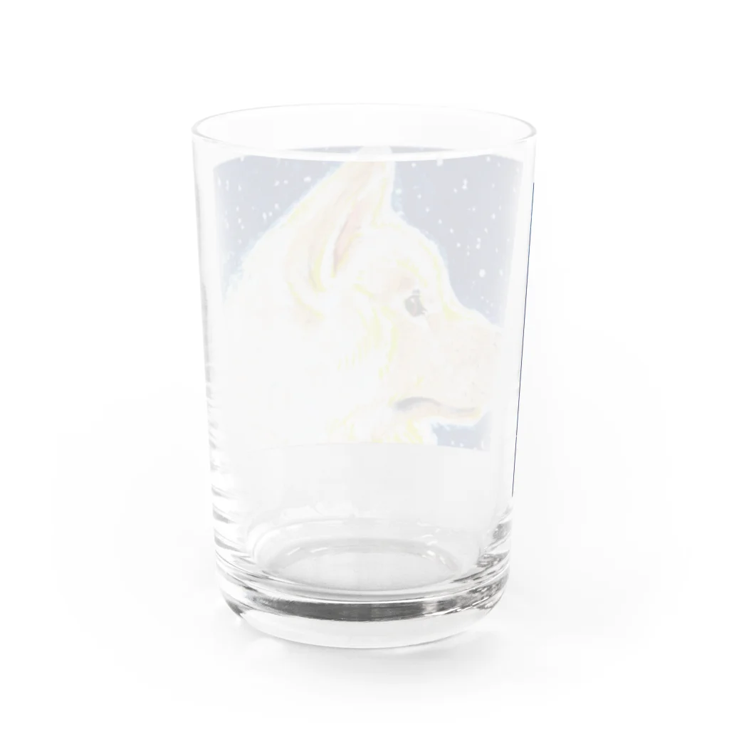 カンノユカの秋田犬のケンシロウ Water Glass :back