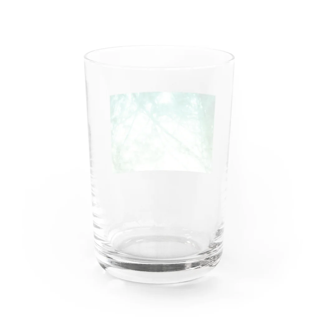 きくはんのGreen Water Glass :back