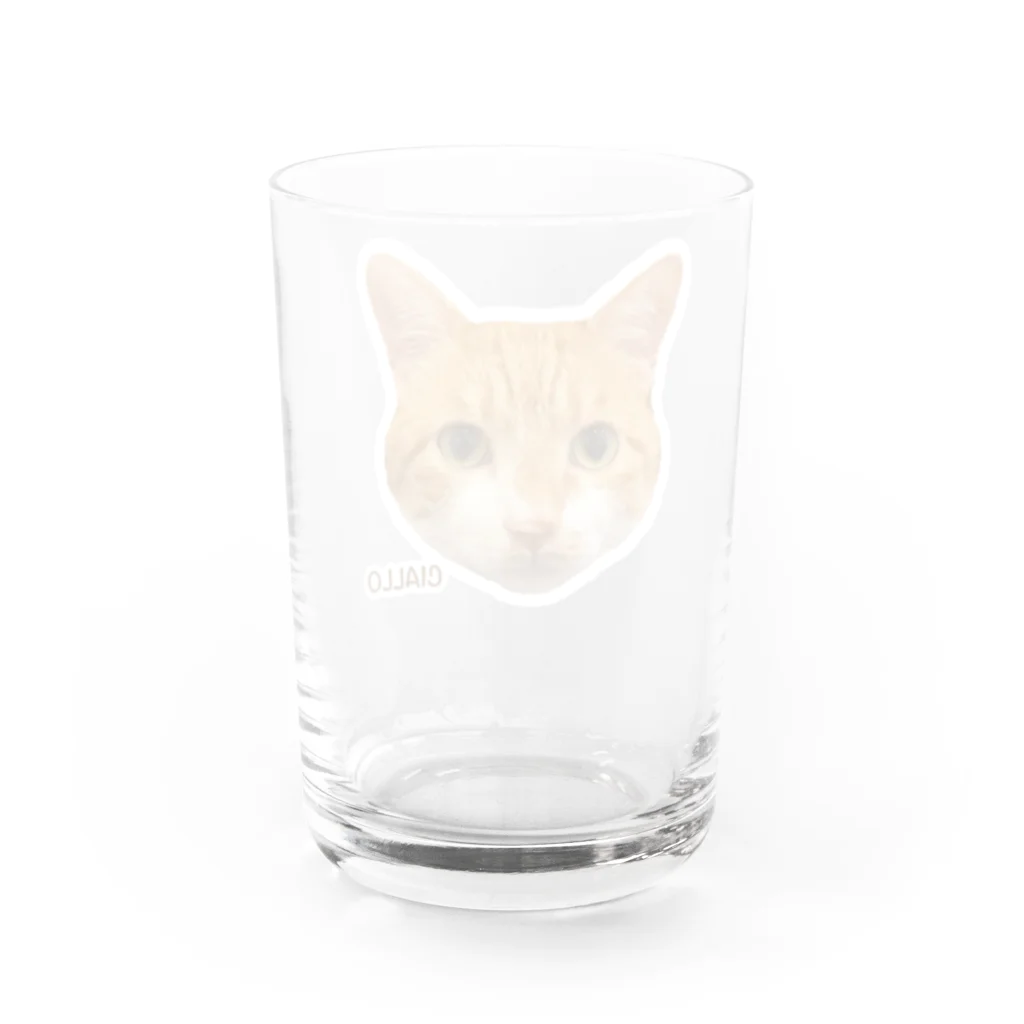 猫カフェ ぶぅたんグッズショップの絵文字チャロさん Water Glass :back