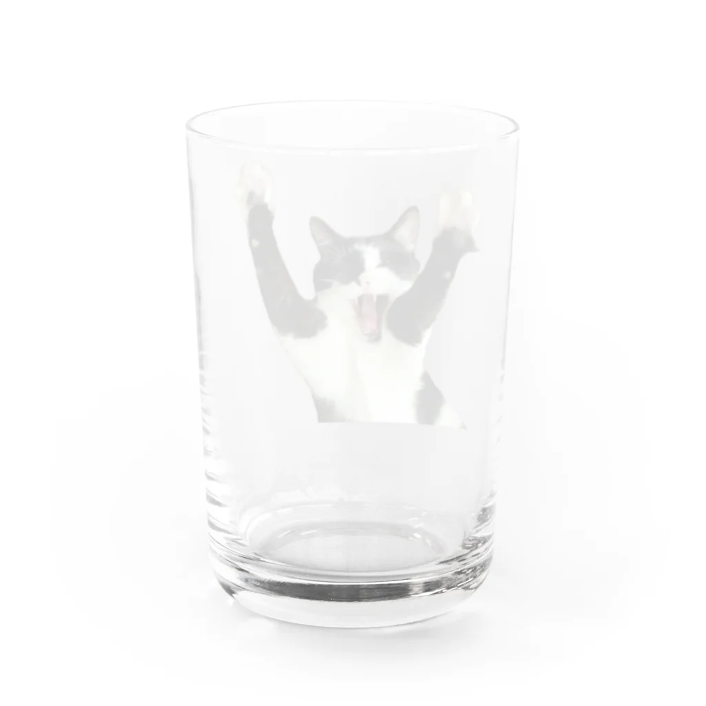 月之丞の庭の月之丞ばんにゃ～い Water Glass :back