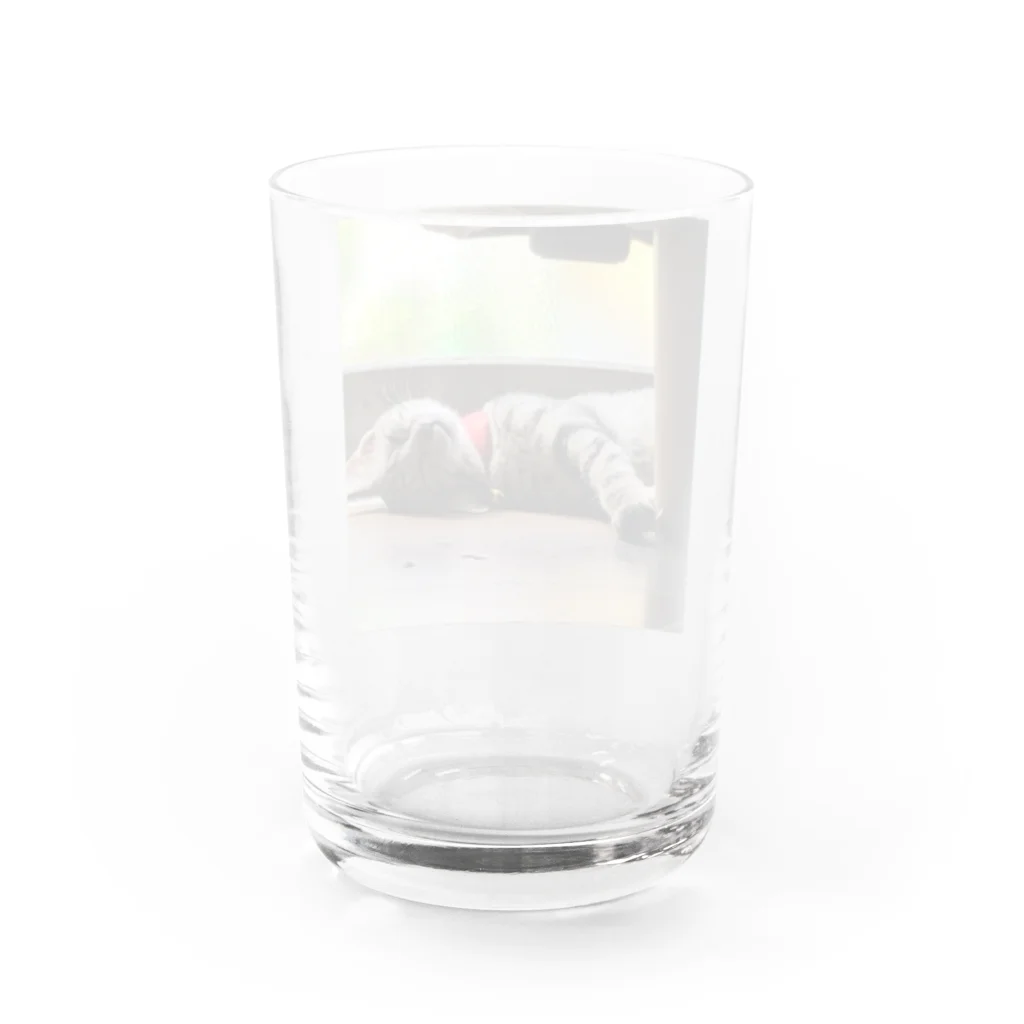 くすくすの森のうみの日常 Water Glass :back